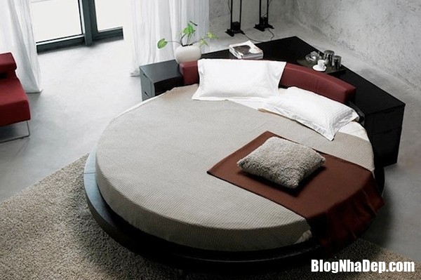0239f4b1f06ad64e4c9417c699903ba9 Những mẫu giường ngủ cực phong cách với bệ hình tròn